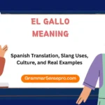 El Gallo Meaning: Spanish Translation and Uses