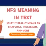 NFS Meaning in Text