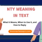 NTY Meaning Explained: Uses, Tone, Examples & Replies