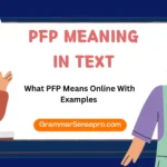 PFP Meaning in Text
