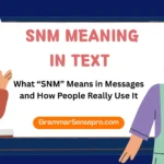 SNM Meaning in Text
