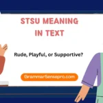 STSU Meaning in Text: Rude, Playful, or Supportive?