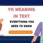 YH Meaning in Text