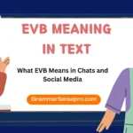 EVB Meaning in Text