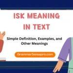 ISK Meaning in Text