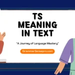 TS Meaning in Text