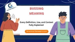 Bussing Meaning: Every Definition, Use, and Context Explained