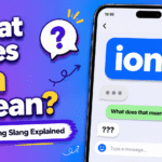 ION meaning in text message example chat conversation