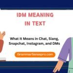 IDM Meaning in Text: What It Means in Chat, Slang, Snapchat, Instagram, and DMs