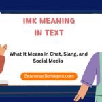 IMK Meaning in Text: What It Means in Chat, Slang, and Social Media