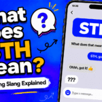 STH meaning in text shown as something in a casual chat message