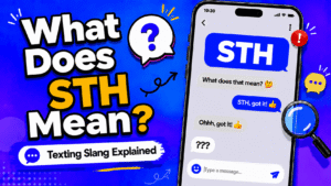STH meaning in text shown as something in a casual chat message