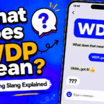 WDP meaning in text shown as Whats the plan in a casual chat message