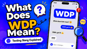 WDP meaning in text shown as Whats the plan in a casual chat message