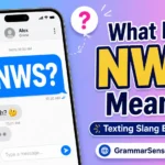 NWS Meaning in Text: What Does NWS Mean in Chat?
