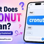 What Does Cronut Mean? Definition, Uses, and Examples