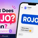 Rojo Meaning: What Does Rojo Mean in Text and Spanish?
