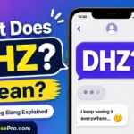 DHZ Meaning Text: What Does DHZ Mean in Messages?
