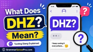 DHZ Meaning Text: What Does DHZ Mean in Messages?