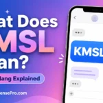 What Does KMSL Mean in Text? Uses, Examples, and Replies