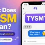 TYSM Means: Texting Meaning, Examples, and Replies