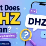 DHZ Meaning in Text: What It Means and How to Reply