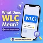WLC Meaning in Text: What Does WLC Mean in Texting and Social Media?
