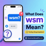 WSM Meaning in Text: What It Means and How to Use It