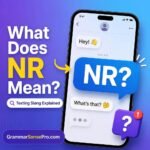 nr meaning in text: What NR Means and How to Use It