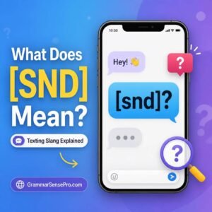 SND Meaning in Text: What Does SND Mean?