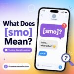 SMO Meaning in Text: What Does SMO Mean?